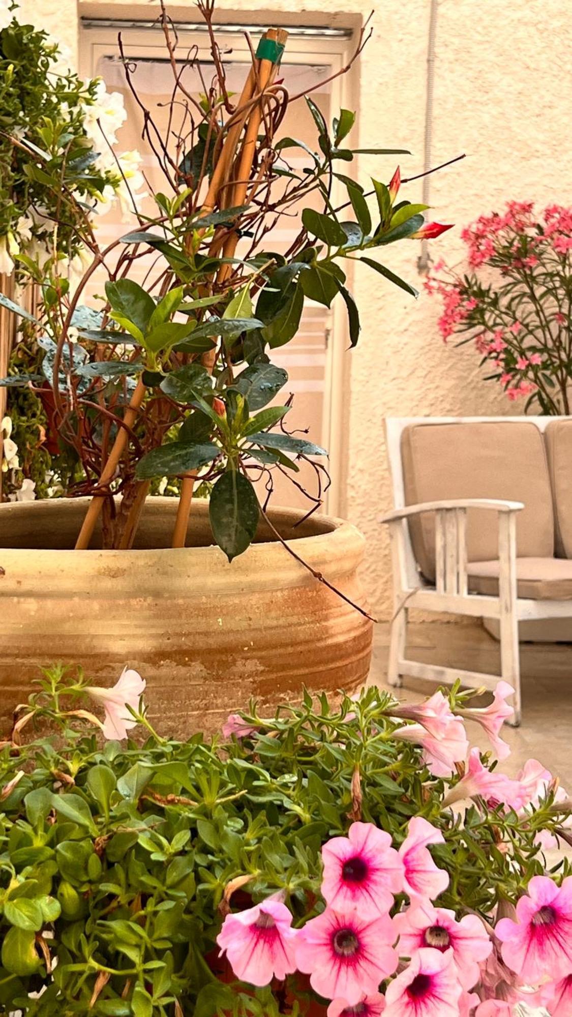 Dimora Donna Vitalia Apartments Trapani Exterior photo